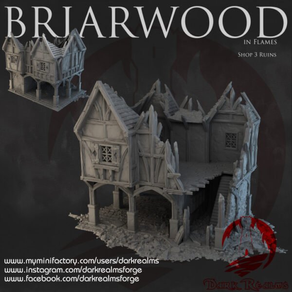 Briarwood - Shop 3 Ruins